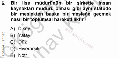6. soru: Bir lise müdürünün bir şirkette insan kaynakları müdürü olması gibi aynı statüde bir meslekten başka bir mesleğe geçm…