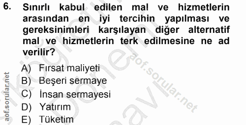 6. soru: Sınırlı kabul edilen mal ve hizmetlerin arasından en iyi tercihin yapılması ve gereksinimleri karşılayan diğer altern…