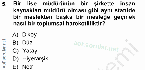 5. soru: Bir lise müdürünün bir şirkette insan kaynakları müdürü olması gibi aynı statüde bir meslekten başka bir mesleğe geçm…