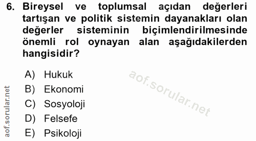 6. soru: Bireysel ve toplumsal açıdan değerleri tartışan ve politik sistemin dayanakları olan değerler sisteminin biçimlendiri…