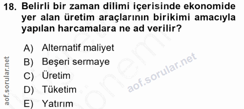 18. soru: Belirli bir zaman dilimi içerisinde ekonomide yer alan üretim araçlarının birikimi amacıyla yapılan harcamalara ne ad…
