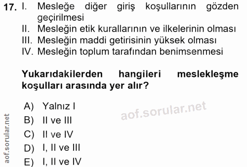 17. soru: I. Mesleğe diğer giriş koşullarının gözden geçirilmesi II. Mesleğin etik kurallarının ve ilkelerinin olması III. Mesl…
