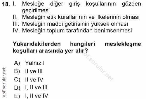 18. soru: 1. Mesleğe diğer giriş koşullarının gözden geçirilmesi II. Mesleğin etik kurallarının ve ilkelerinin olması III. Mesl…