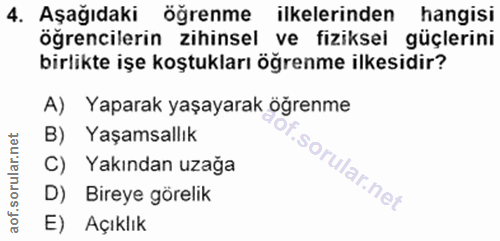 4. soru: Aşağıdaki öğrenme ilkelerinden hangisi öğrencilerin zihinsel ve fiziksel güçlerini birlikte işe koştukları öğrenme il…