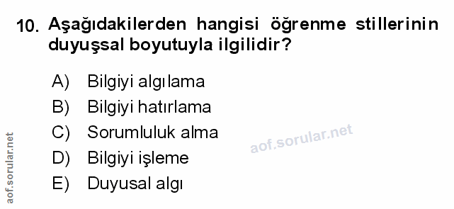 10. soru: Aşağıdakilerden hangisi öğrenme stillerinin duyuşsal boyutuyla ilgilidir? A) Bilgiyi algılama B) Bilgiyi hatırlama C)…