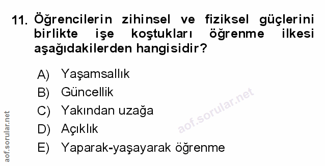 11. soru: Öğrencilerin zihinsel ve fiziksel güçlerini birlikte işe koştukları öğrenme ilkesi aşağıdakilerden hangisidir? A) Yaş…
