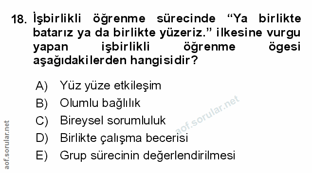 18. soru: Işbirlikli öğrenme sürecinde "Ya birlikte batarız ya da birlikte yüzeriz." ilkesine vurgu yapan işbirlikli ogrenme ög…