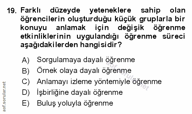 19. soru: Farklı düzeyde yeteneklere sahip olan öğrencilerin oluşturduğu küçük gruplarla bir konuyu anlamak için değişik öğrenm…