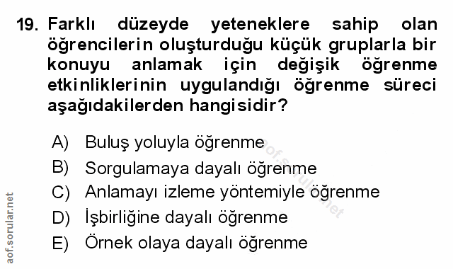 19. soru: Farklı düzeyde yeteneklere sahip olan öğrencilerin oluşturduğu küçük gruplarla bir konuyu anlamak için değişik öğrenm…