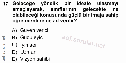 17. soru: Geleceğe yönelik bir ideale ulaşmayı amaçlayarak, sınıflarının gelecekte ne olabileceği konusunda güçlü bir imaja sah…