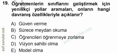 19. soru: Öğretmenlerin sınıflarını geliştirmek için yenilikçi yollar aramaları, onlarin hangi davranış özellikleriyle açıklanı…