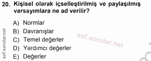 20. soru: Kişisel olarak içselleştirilmiş ve paylaşılmış varsayımlara ne ad verilir? A) Normlar B) Davranışlar C) Temel değerle…