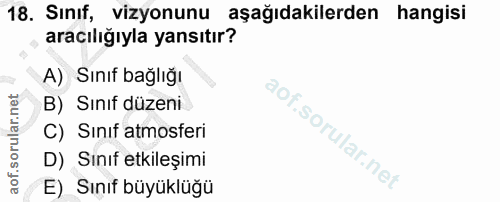18. soru: Sınıf, vizyonunu aşağıdakilerden hangisi aracılığıyla yansıtır? A) Sınıf bağlığı B) Sınıf düzeni C) Sınıf atmosferi D…