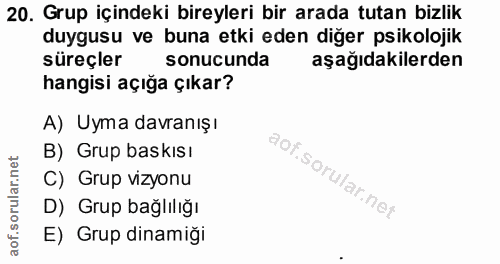 20. soru: Grup içindeki bireyleri bir arada tutan bizlik duygusu ve buna etki eden diğer psikolojik süreçler sonucunda aşağıdak…