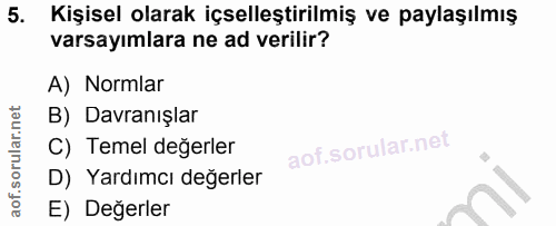 5. soru: Kişisel olarak içselleştirilmiş ve paylaşılmış varsayımlara ne ad verilir? A) Normlar B) Davranışlar C) Temel değerle…