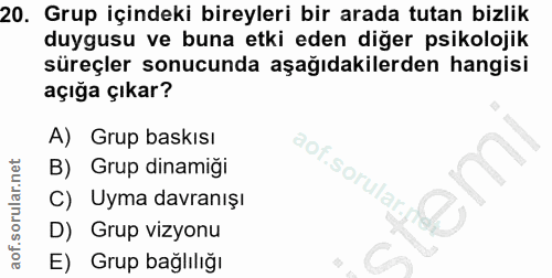 20. soru: Grup içindeki bireyleri bir arada tutan bizlik duygusu ve buna etki eden diğer psikolojik süreçler sonucunda aşağıdak…