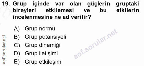 19. soru: Grup içinde var olan güçlerin gruptaki bireyleri etkilemesi ve bu etkilerin incelenmesine ne ad verilir? A) Grup norm…