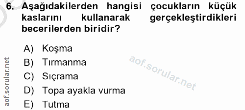 6. soru: Aşağıdakilerden hangisi çocukların küçük kaslarını kullanarak gerçekleştirdikleri becerilerden biridir? A) Koşma B) T…