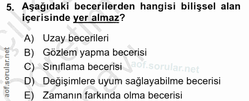 5. soru: Aşağıdaki becerilerden hangisi bilişsel alan içerisinde yer almaz? A) Uzay becerileri B) Gözlem yapma becerisi C) Sin…
