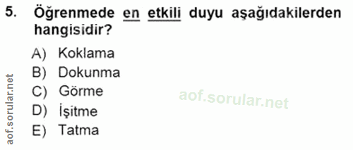 5. soru: Öğrenmede en etkili duyu aşağıdakilerden hangisidir? A) Koklama B) Dokunma C) Görme D) İşitme aof E) Tatma