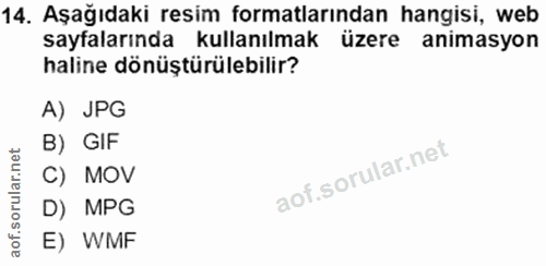 14. soru: Aşağıdaki resim formatlarından hangisi, web sayfalarında kullanılmak üzere animasyon haline dönüştürülebilir? A) JPG…
