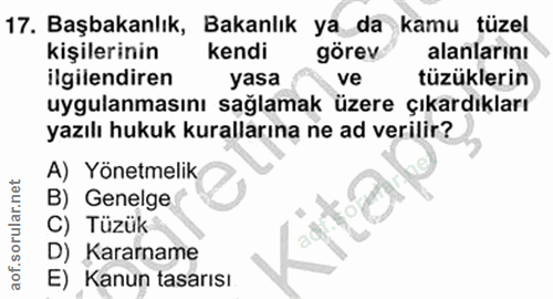 17. soru: Başbakanlık, Bakanlık ya da kamu tüzel kişilerinin kendi görev alanlarını ilgilendiren yasa ve tüzüklerin uygulanması…