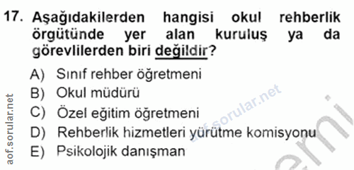 17. soru: Aşağıdakilerden hangisi okul rehberlik örgütünde yer alan kuruluş ya da görevlilerden biri değildir? A) Sinıf rehber…