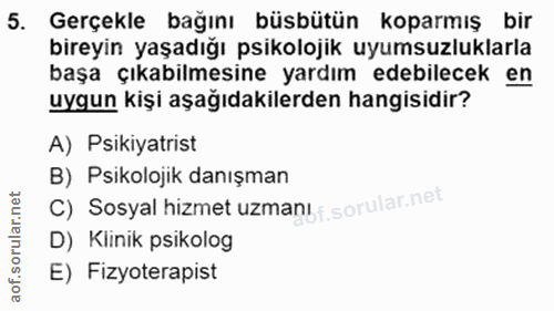5. soru: Gerçekle bağını büsbütün koparmış bir bireyin yaşadığı psikolojik uyumsuzluklarla başa çıkabilmesine yardım edebilece…