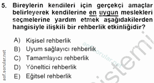 5. soru: Bireylerin kendileri için gerçekçi amaçlar belirleyerek kendilerine en uygun meslekleri seçmelerine yardım etmek aşağ…