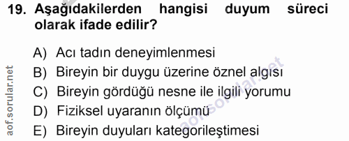 19. soru: Aşağıdakilerden hangisi duyum süreci olarak ifade edilir? A) Acı tadın deneyimlenmesi B) Bireyin bir duygu üzerine öz…