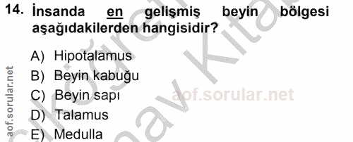 14. soru: Insanda en gelişmiş beyin bölgesi aşağıdakilerden hangisidir? A) Hipotalamus B) Beyin kabuğu C) Beyin sapı dof. D) Ta…