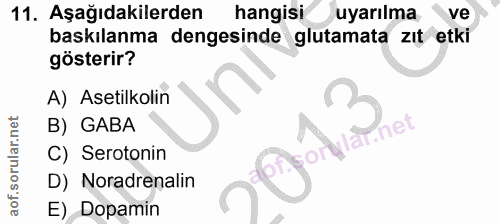 11. soru: Aşağıdakilerden hangisi uyarılma ve baskılanma dengesinde glutamata zıt etki gösterir? A) Asetilkolin B) GABA net C)…
