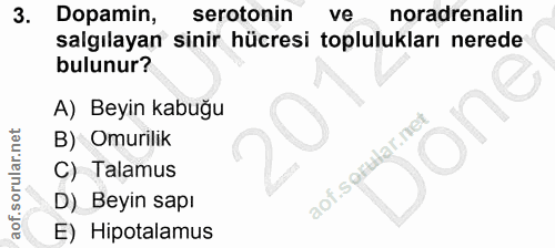 3. soru: Dopamin, serotonin ve noradrenalin salgılayan sinir hücresi toplulukları nerede bulunur? A) Beyin kabuğu B) Omurilik…