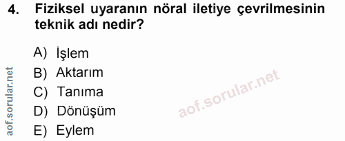 4. soru: Fiziksel uyaranın nöral iletiye çevrilmesinin teknik adı nedir? A) İşlem B) Aktarım C) Tanima D) Dönüşüm E) Eylem