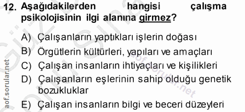12. soru: Aşağıdakilerden hangisi çalışma psikolojisinin ilgi alanına girmez? A) Çalışanların yaptıkları işlerin doğası B) Örgü…