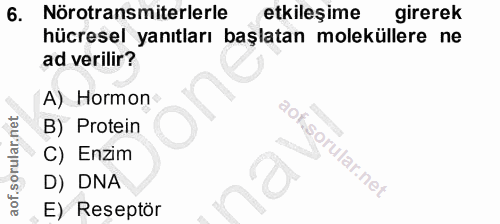 6. soru: Nörotransmiterlerle etkileşime girerek hücresel yanıtları başlatan moleküllere ne ad verilir? A) Hormon B) Protein C)…