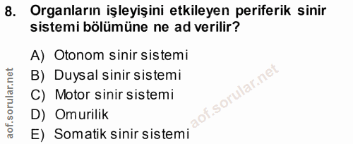 8. soru: Organların işleyişini etkileyen periferik sinir sistemi bölümüne ne ad verilir? A) Otonom sinir sistemi B) Duysal sin…
