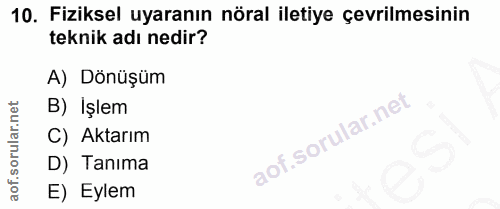 10. soru: Fiziksel uyaranın nöral iletiye çevrilmesinin teknik adı nedir? A) Dönüşüm B) Işlem C) Aktarım l D) Tanıma E) Eylem