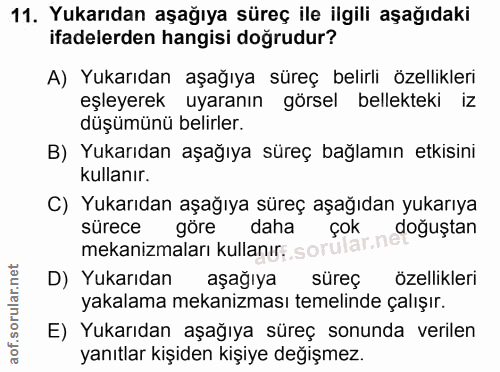 11. soru: Yukarıdan aşağıya süreç ile ilgili aşağıdaki ifadelerden hangisi doğrudur? A) Yukarıdan aşağıya süreç belirli özellik…