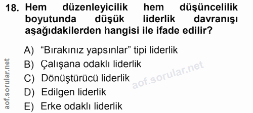 18. soru: Hem düzenleyicilik hem düşüncelilik boyutunda düşük liderlik davranışı aşağıdakilerden hangisi ile ifade edilir? A) "…