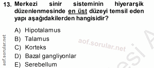 13. soru: Merkezi sinir sisteminin hiyerarşik düzenlenmesinde en üst düzeyi temsil eden yapı aşağıdakilerden hangisidir? A) Hip…