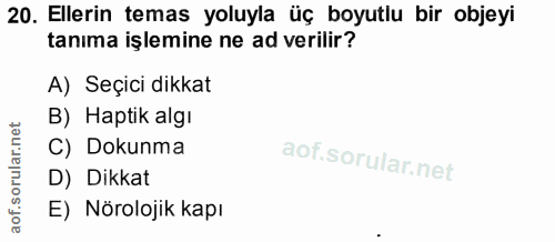 20. soru: Ellerin temas yoluyla üç boyutlu bir objeyi tanıma işlemine ne ad verilir? A) Seçici dikkat B) Haptik algı C) Dokunma…