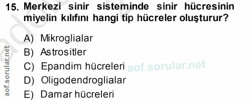 15. soru: Merkezi sinir sisteminde sinir hücresinin miyelin kılıfını hangi tip hücreler oluşturur? A) Mikroglialar B) Astrositl…