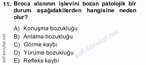 11. soru: Broca alanının işlevini bozan patolojik bir durum aşağıdakilerden hangisine neden olur? A) Konuşma bozukluğu B) Anlam…