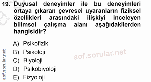19. soru: Duyusal deneyimler ile bu deneyimleri ortaya çıkaran çevresel uyaranların fiziksel özellikleri arasındaki ilişkiyi in…