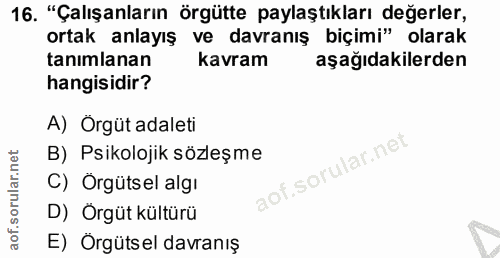 16. soru: "Çalışanların örgütte paylaştıkları değerler, ortak anlayış ve davranış biçimi" olarak tanımlanan kavram aşağıdakiler…