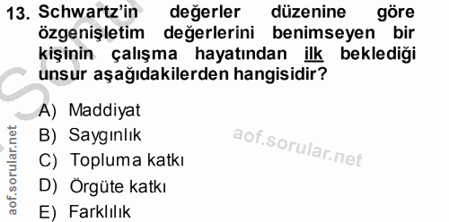 13. soru: Schwartz'in değerler düzenine göre özgenişletim değerlerini benimseyen bir kişinin çalışma hayatından ilk beklediği u…