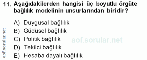 11. soru: Aşağıdakilerden hangisi üç boyutlu örgüte bağlılık modelinin unsurlarından biridir? A) Duygusal bağlılık B) Güdüsel b…