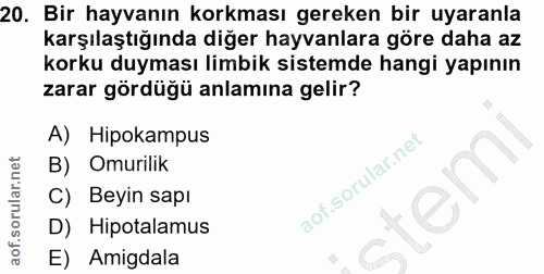 20. soru: Bir hayvanın korkması gereken bir uyaranla karşılaştığında diğer hayvanlara göre daha az korku duyması limbik sistemd…