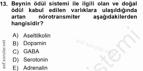 13. soru: Beynin ödül sistemi ile ilgili olan ve doğal ödül kabul edilen varlıklara ulaşıldığında artan nörotransmiter aşağıdak…
